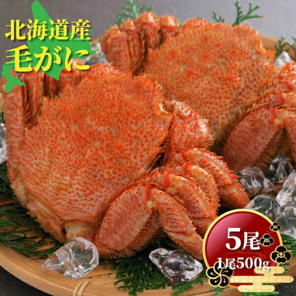 北海道オホーツク産 ボイル毛がに 500g 前後 × 5尾 大サイズ 送料無料 ギフト メガ盛り 北海道産 カニ 毛蟹 毛ガニ かにみそ カニミソ 味噌 お取り寄せグルメ クール便