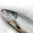 25ページ目の記事一覧 水産加工品 楽天ブログ