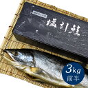 新潟 村上 名産 塩引き鮭 塩引鮭 一尾物 漁獲時3kg前半の鮭を使用