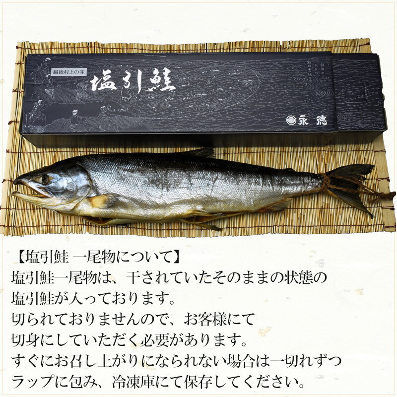 新潟 村上 名産 塩引き鮭 塩引鮭 一尾物 漁獲時3kg前半の鮭を使用【 のし 熨斗 名産品 特産品 贅沢 グルメ ギフト プレゼント 贈り物 塩鮭 塩引きざけ シャケ サケ さけ ざけ 新巻鮭 】 2