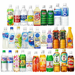 アサヒ飲料 500mlPET 48本[24本 2箱][三ツ矢サイダー ドデカミン ウィルキンソン 十六茶 カルピス 国産水 天然水 バヤリース 炭酸水]【4～5営業日以内に出荷】［送料無料］