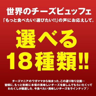 [G]世界のチーズビュッフェ30個まで1配送でお届けクール［冷蔵］便でお届け北海道・沖縄・離島は送料無料の対象外【4〜5営業日以内に出荷】【5個購入で送料無料】