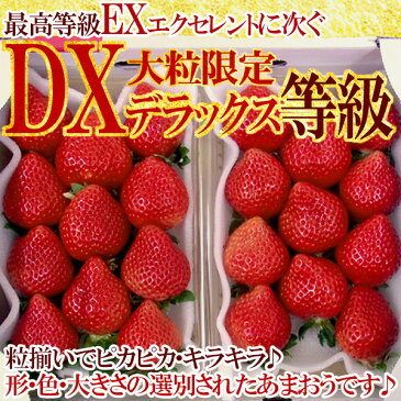 福岡産 博多あまおうDX 320g×2P［冷蔵］【5〜8営業日以内に出荷】【送料無料】