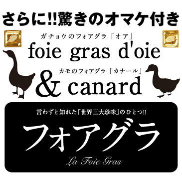 期間限定!生ハム食べ放題企画生ハム切り落とし・コマ切れ×500g［2個で1個・3個で2個・5個購入で4個オマケ＋さらにフォアグラも!!］5個まで1配送でお届け［冷凍］【2〜3営業日以内に出荷】【送料無料】