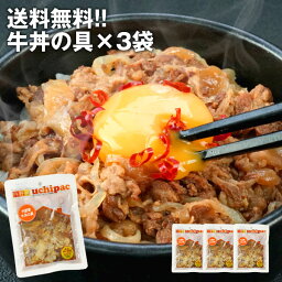 ［内野家］常温で1年以上保存可能！手作りお惣菜【uchipac】牛丼の具×3袋【メール便送料無料】［常温］【3～4営業日以内に出荷】10セットまで1配送でお届け