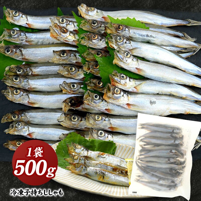 子持ちししゃも 500g［冷凍］【4〜5営業日以内に出荷】【送料無料】