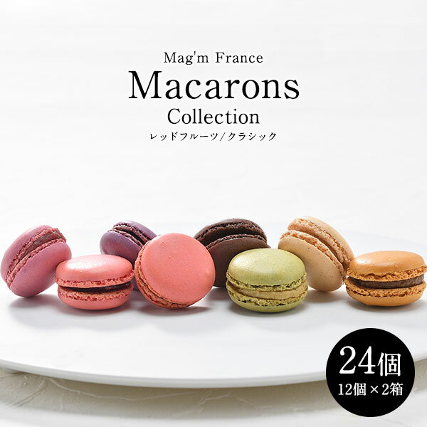 マカロン マグム Mag'm フランス産 24個（3個×8種）［冷凍］【3～4営業日以内に出荷】【送料無料】