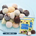 チョコアイスボール(6粒×5種)×2袋 冷凍 アイスチョコボール ひとくち チョコアイス 個包装【3〜4営業日以内に出荷】【送料無料】