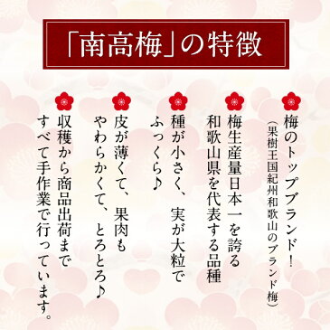 超低塩！塩分3％！紀州南高梅 つぶれ梅セット[しそ梅・はちみつ梅・アップル梅]選り取り梅干し 訳あり 梅 減塩4セットまで1配送でお届け【送料無料】