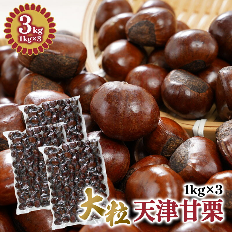 天津甘栗 焼き栗 3kg (1kg×3袋) 【送料無料】［常温/全温度帯可］【3～4営業日以内に出荷】大容量 国内..