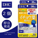 DHC イチョウ葉脳内α アルファ 30日分 2個 ディーエイチシー dhc 健康食品 美容 サプリ 送料無料 イチョウ葉 フラボノイド配糖体 テルペンラクトン