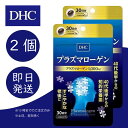 DHC プラズマローゲン 30日分 2個 ディーエイチシー dhc 健康食品 美容 サプリ 送料無料 ヤマブシタケ スケレティウム・トルツオーサム