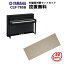 ɿޥåաۡڥإåɥե1ĥץ쥼ȡYAMAHA Clavinova CLP-785B Żҥԥ ޥ ӥΡС̵ۡڤ󤻡