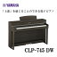 ڥإåɥե1ĥץ쥼ȡYAMAHA Clavinova CLP-745DW Żҥԥ ޥ ӥΡС̵ۡڤ󤻡