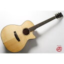 TYMA GUITARS TG-10 アコースティックギター アコギ クラシックギター フォークギター ピックガード スリムネック ブリッジ ペグ サドル 弦 ...