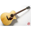 TYMA GUITARS TG-12 アコースティックギター アコギ クラシックギター フォークギター ピックガード スリムネック ブリッジ カッタウェイ ペグ...