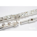 【即納可能】【頭部管銀製】Altus Flute A9E MPC管楽器専門店Brasstekオリジナルモデル！ンクゴールド】Eメカ付き,カバードキイ