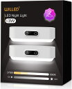 WILLED 2個入り アップグレード版 3W LED タッチランプ 5色調光可能 2000mAh 充電式バッテリー マグネット クローゼット キャビネット 寝室 壁 読書ランプ LED色温 2700K-6500K