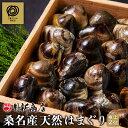 桑名産天然はまぐり 2kg 【国産ハマグリ】砂出し済 産地直送 蛤 はまぐり大 貝新商店
