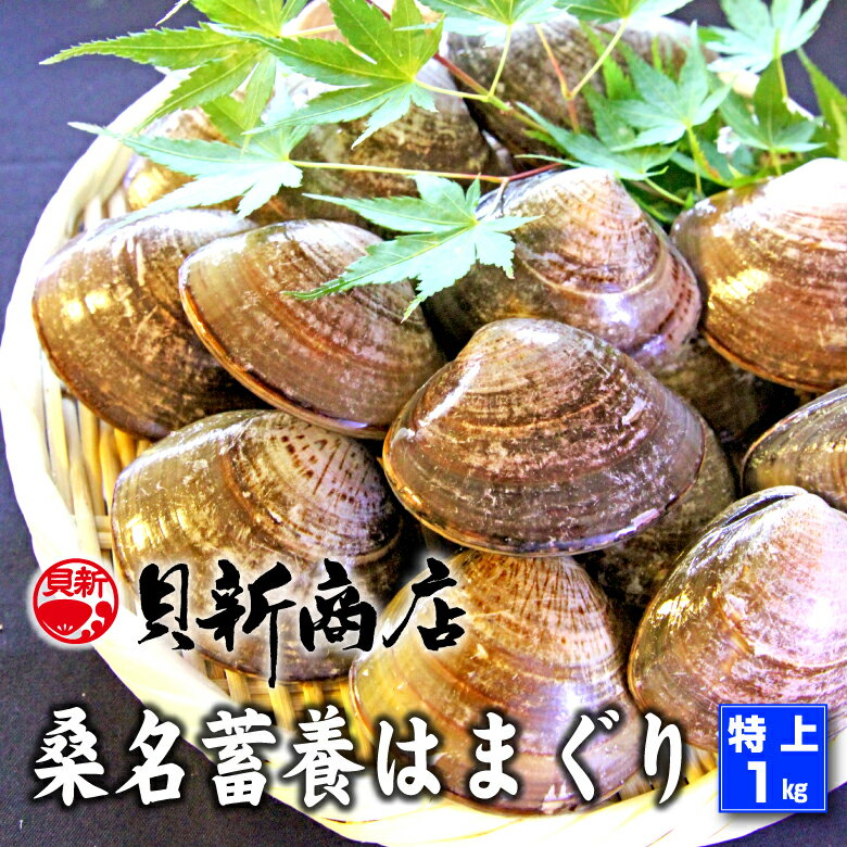 桑名蓄養 はまぐり 1kg 【特上サイズ 5cm前後】養殖池より産地直送、鮮度の良い粒のみを選別、砂出し済＃はまぐり ハマグリ 蛤 貝 しゃぶしゃぶ 鍋 バーベキュー 貝新