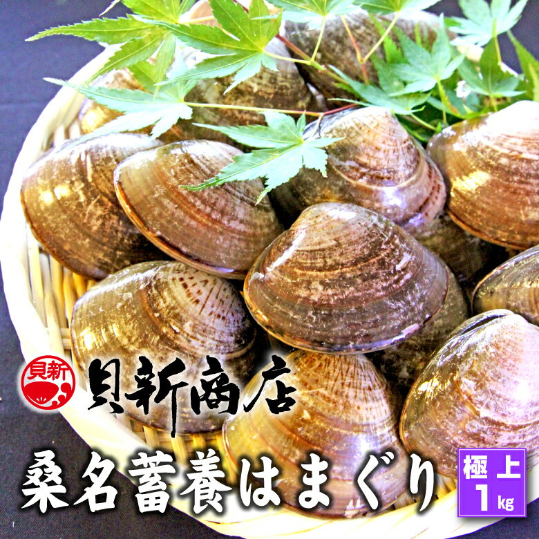 【ふるさと納税】小はまぐり（ゼンナ）2kg（400g×5パック） ふるさと納税 貝 ぜんな ゼンナ 小はまぐり 国産 千葉県 送料無料 SHF008