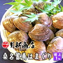 桑名蓄養はまぐり1kg 【極上サイズ 6cm以上】 蓄養池より産地直送 砂出し済 蛤 はまぐり大 貝新商店