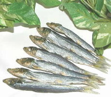 極上うるめ丸干し(上乾)100g入りうるめイワシおつまみ乾物カルシウム