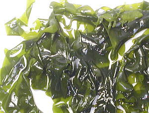 春・一番採り「新芽わかめ」 三陸わかめ 味噌汁の具材 無添加食品 ダイエット 低カロリー 自然食品 ミネラル ワカメ 国産 海藻