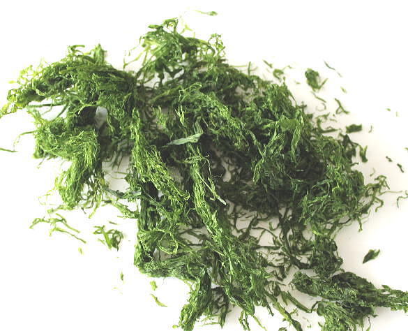 熊本産『糸青のり（スジ青のり）』8g 味噌汁の具材 無添加食品 ダイエット 低カロリー 自然食品 ミネラル 海藻サラダ 海藻のサムネイル