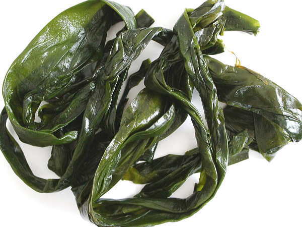 塩蔵昆布 三陸産 検査1等 300g 昆布 �