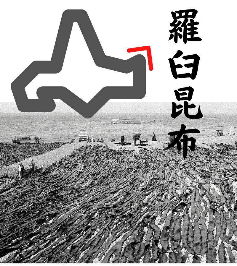 羅臼昆布 100g 北海道産 らうす 羅臼 出汁 だし 保存食