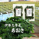 あおさ 伊勢志摩産あおさ 50g×2袋 国産 三重県産 あおさのり アオサ あおさ海苔 保存食