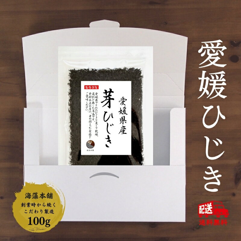 【送料無料】ひじき 芽ひじき 愛媛県産 100g　国産 愛媛県 産地から原料を買付け自社製造で仕上げた一品