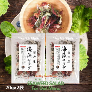 海藻サラダ 国産 40g（20g×2袋） 1000円ポッキリ 送料無料 原料すべてを国産にこだわる メール便