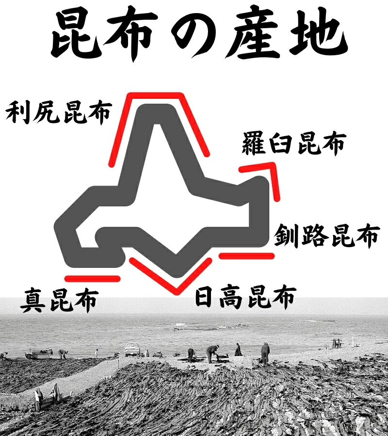 【送料無料】羅臼昆布送料無料昆布200g(100gtimes;2袋)メール便北海道産らうす羅臼出汁だし保存食