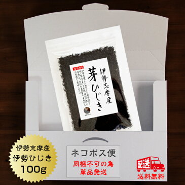 【送料無料】ひじき 伊勢志摩産 芽ひじき 100g 国産 三重県 天然ひじき 伊勢ひじき ヒジキ ネコポス便 保存食