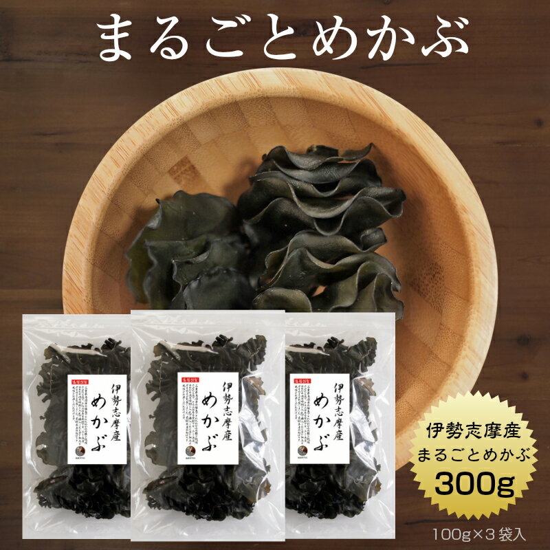 めかぶ まるごとめかぶ 伊勢志摩産 100g×3袋　業務用 国産 三重県 伊勢志摩 乾燥 メカブ