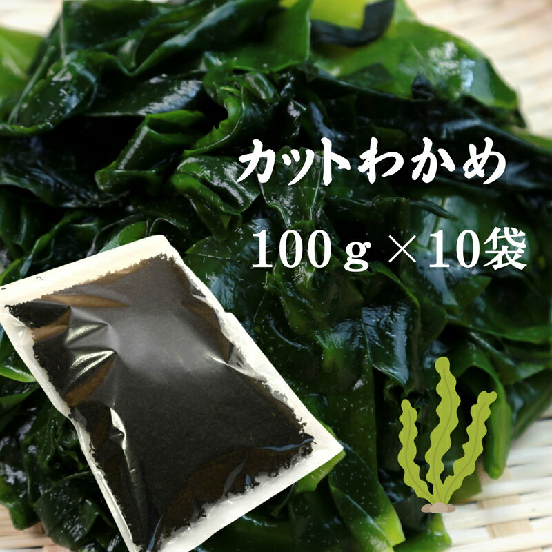 カットわかめ 韓国産 100g 10袋 乾燥わかめ