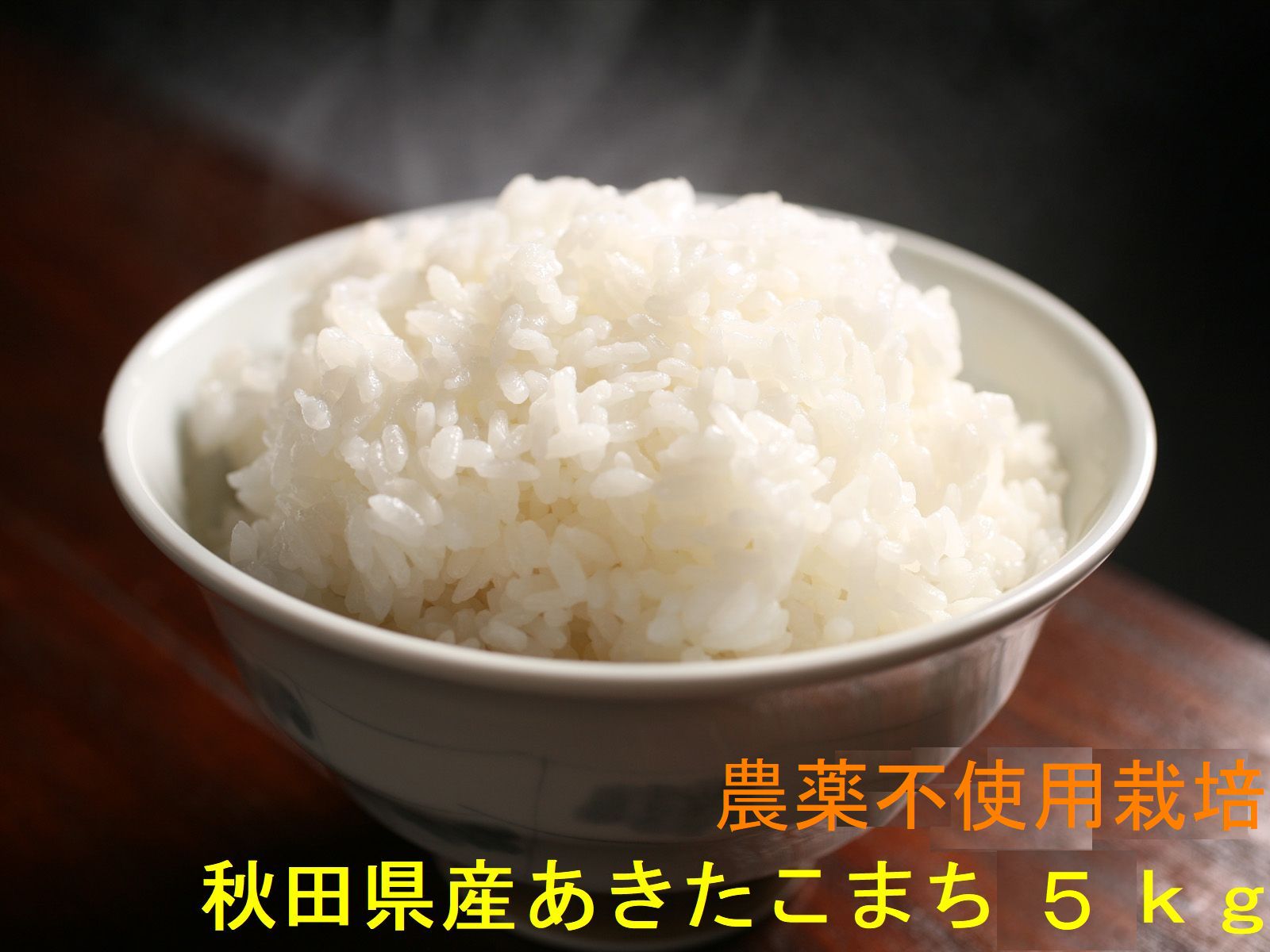 無農薬 玄米 送料無料 令和5年産 秋田県産 地下水で栽培 安心で美味しいあきたこまち5kg