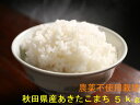 新米予約無農薬 玄米 送料無料 令和7年産 秋田県産 地下水で栽培 安心で美味しいあきたこまち5kg