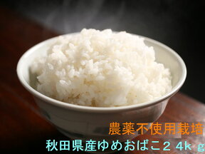 無農薬 玄米 送料無料 令和5年産 秋田県産 地下水で栽培 淡麗モチモチゆめおばこ24kg【8kg×3袋】