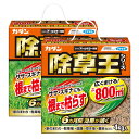 カダン 除草王 オールキラー粒剤 4kg×2箱 農薬 ササ スギナ 除草剤 予防 効果 フマキラー