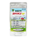 シバゲンDF 20g入 除草剤 農薬 ドライフロアブル 専用計量スプーン付 芝生用 日本芝 西洋芝 バミューダグラス イネ科 カヤツリグサ科 広葉 雑草 対策 【ネコポス対応・送料275円】【2個まで】