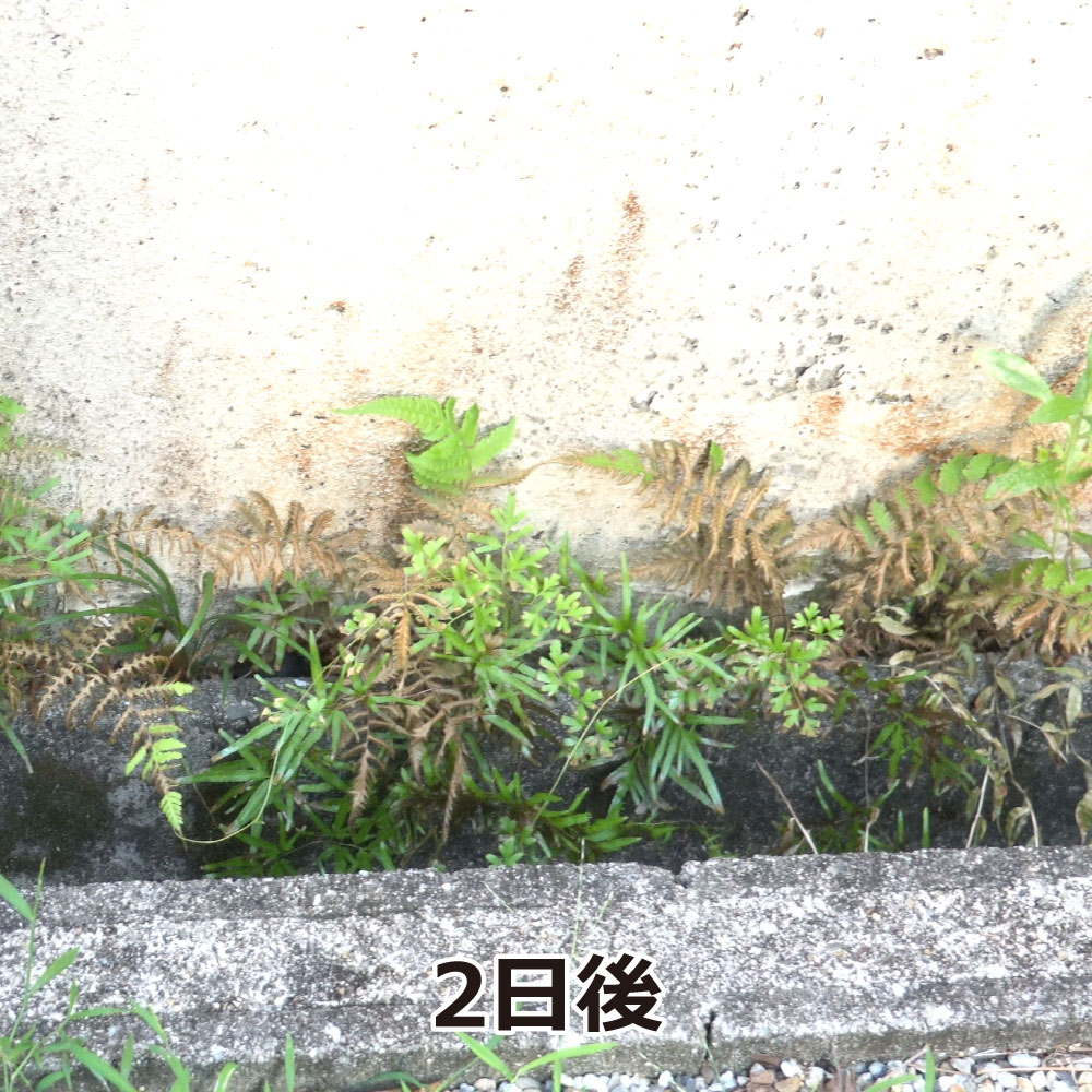 非農耕地用 速効 持続除草成分配合 根まで枯らす虫よけ除草王プレミアム 4.8L フマキラー 3