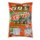 カダン 除草王 オールキラー粒剤 7kg 農薬 ササ スギナ 除草剤 予防 効果 フマキラー