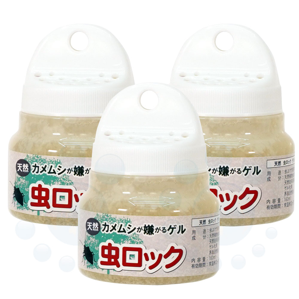 カメムシ