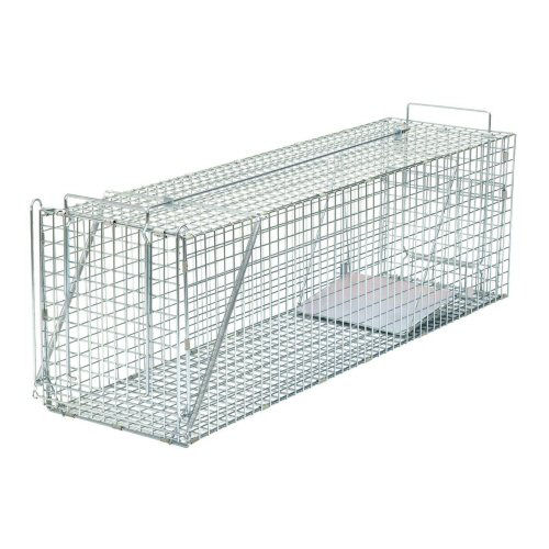 捕獲器 イタチ〈オス〉タヌキ D type No.304 TN-4 【中型獣用】栄ヒルズ 動物用 捕獲機