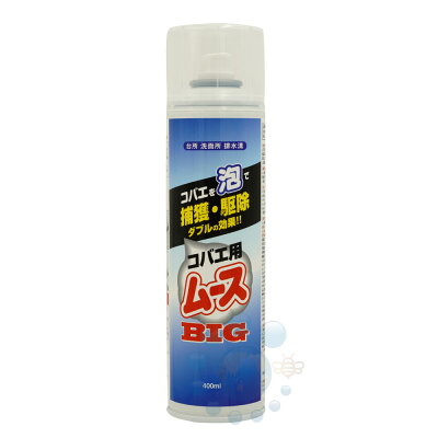 コバエ用ムースBIG