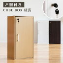 キューブボックス 縦長 鍵付き CUBE BOX カギ付き 鍵付きボックス 縦型 扉付き 書庫 収納ボックス 収納家具 キャビネット カラーボックス 木製 ナチュラル 棚 本棚 収納棚 収納ラック 組み合わせ自由 キューブBOX 鍵付きロッカー 貴重品 保管庫 シェルフ おしゃれ家具
