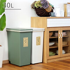 https://thumbnail.image.rakuten.co.jp/@0_mall/kaiteki-homes/cabinet/0130801/c0886180_1.jpg